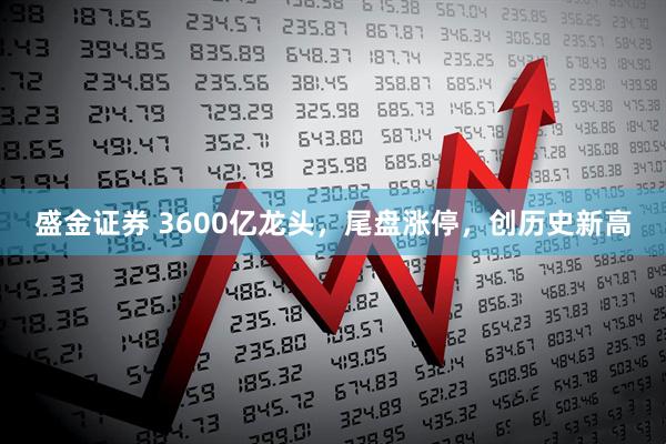 盛金证券 3600亿龙头，尾盘涨停，创历史新高