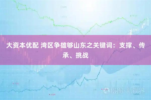大资本优配 湾区争雄够山东之关键词:支撑、传承、挑战